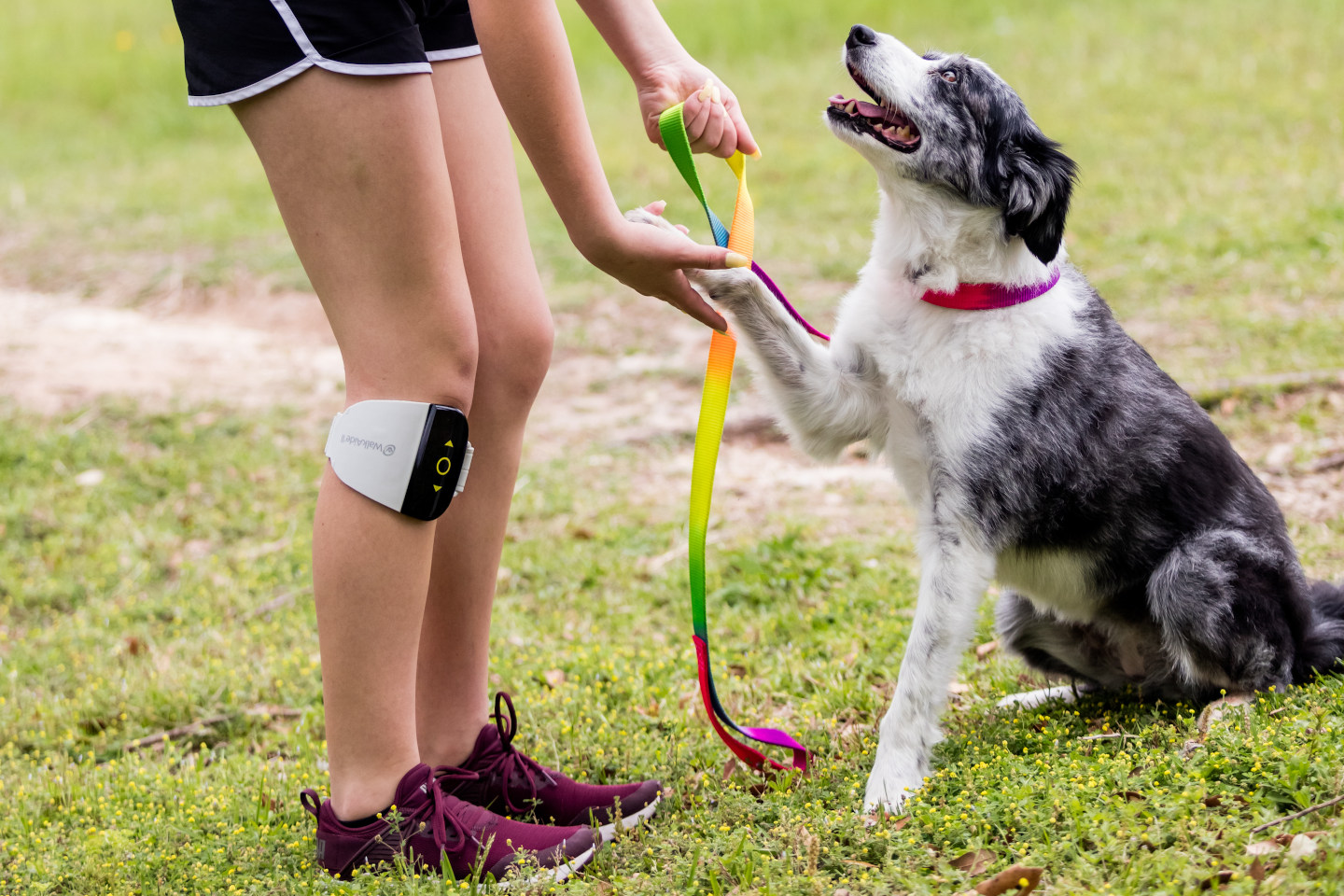 Electrical stimulation can help people who are too weak to exercise